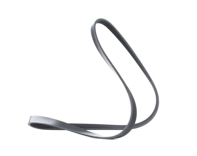 MEYLE 050 005 1135: Curea transmisie cu caneluri 1135mm, Numar nervuri: 5, ORIGINAL Quality