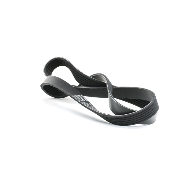 MEYLE 050 006 1255: Curea transmisie cu caneluri 1255mm, Numar nervuri: 6, ORIGINAL Quality