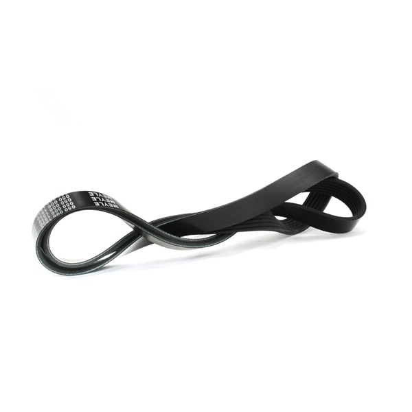 MEYLE 050 006 1570: Multiriem 1570mm, Ribbenaantal: 6, ORIGINAL Quality