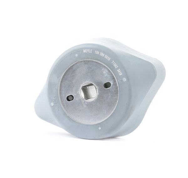 MEYLE 100 399 0015 Lagerung, Automatikgetriebe VW PASSAT Variant (3B5) 120 PS Benzin Kosten