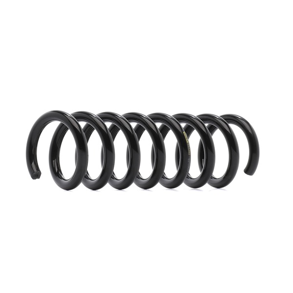 RIDEX PLUS 188C0261P: Fahrwerksfeder Hinterachse