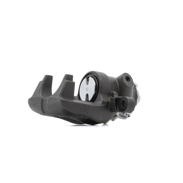 goCORE GCG80218: Bremssattel Hinterachse links, Hinterachse