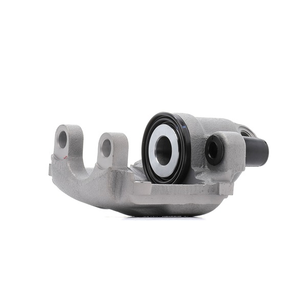 goCORE GCG80220: Bremssattel Hinterachse rechts, Hinterachse