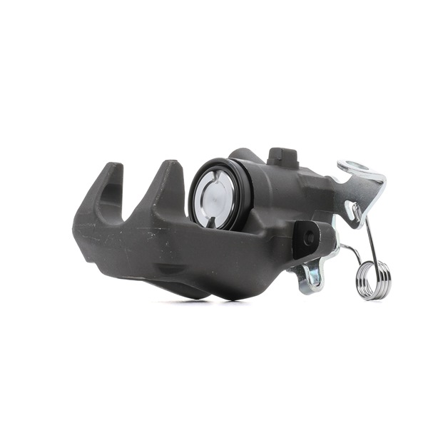 goCORE GCG80250: Bremssattel Hinterachse rechts, Hinterachse