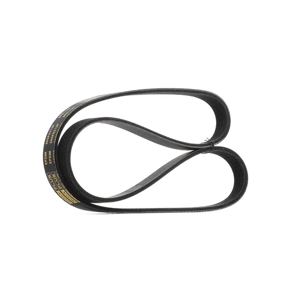 RIDEX PLUS 305P0212P Cinghia servizi RENAULT MODUS / GRAND MODUS (F/JP0_) 112 CV Benzina costo