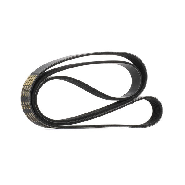RIDEX PLUS 305P0200P Ķīļrievu siksna RENAULT SCENIC 3 (JZ0/1) 131 ZS Benzīns cena