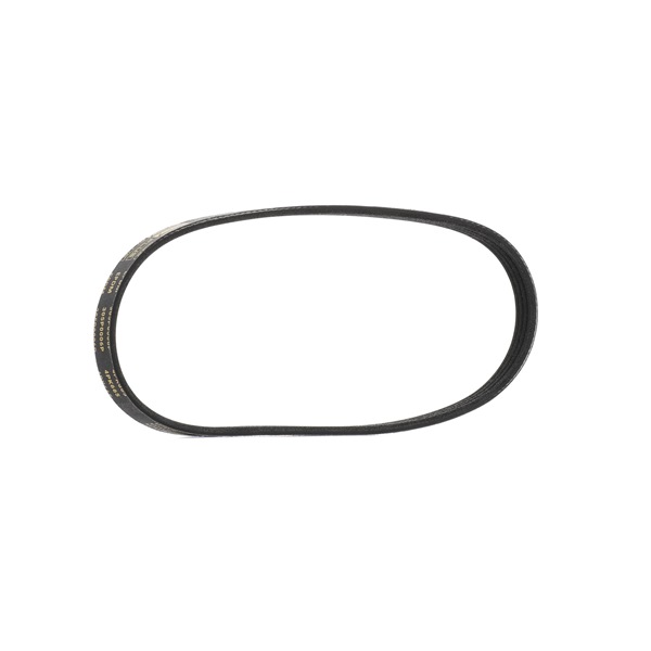 RIDEX PLUS 305P0006P Cinghia servizi LANCIA YPSILON (843) 78 CV Benzina costo