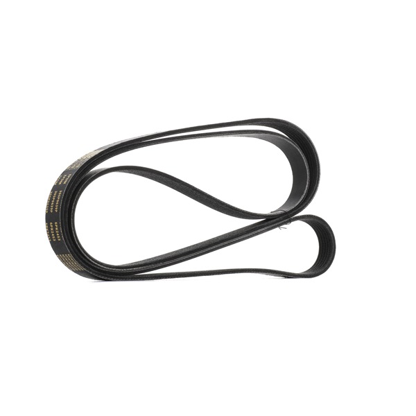 RIDEX PLUS 305P0639P: Multireim 2453mm, Ribbeantall: 6