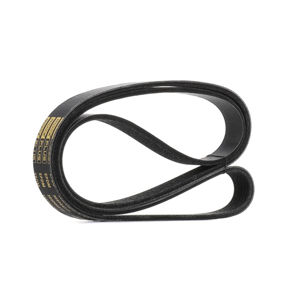 RIDEX PLUS 305P0421P: Multireim 1550mm, Ribbeantall: 6