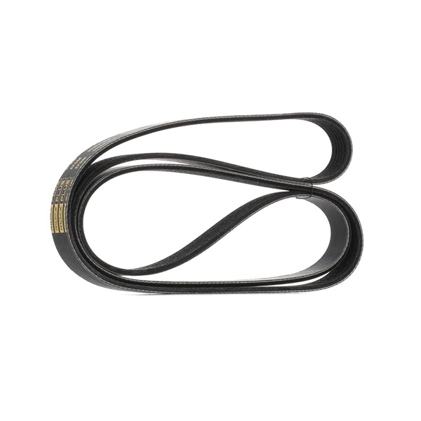 RIDEX PLUS 305P0157P Multiriem RENAULT LAGUNA 2 (BG0/1) 116 Pk Diesel kosten