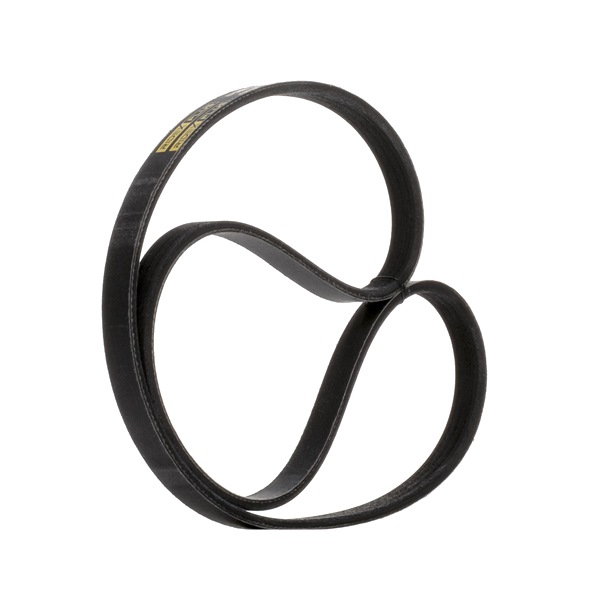 RIDEX PLUS 305P0606P: Curea transmisie cu caneluri 1102mm, Numar nervuri: 4, Elastic