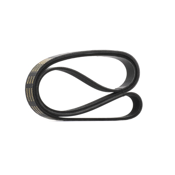 RIDEX PLUS 305P0647P Ιμάντας poly-V FORD C-Max 2 (DXA/CB7, DXA/CEU) 125 PS Βενζίνη κόστος