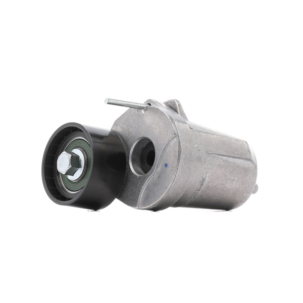 RIDEX PLUS 310T0072P Обтяжна ролка, пистов ремък BMW 7 (F01, F02, F03, F04) 306 K.C. дизел цена