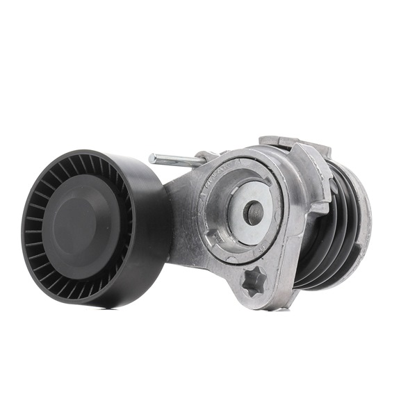 RIDEX PLUS 541V0022P: Tensor de correa poli V