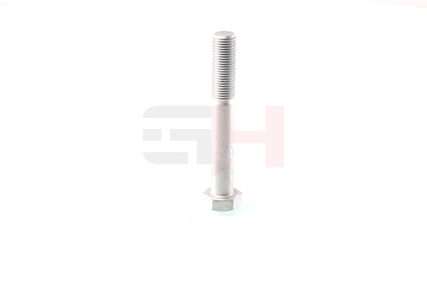 GH GH-391533: Tornillo, muñón del eje