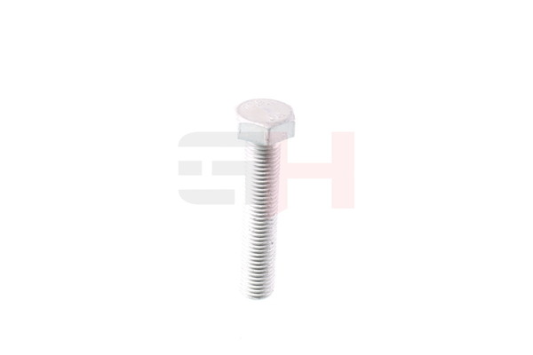 GH GH-392506: Schroef, aseind