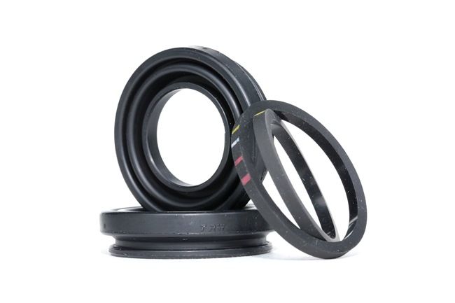 TRW SJ1248: Set reparatie, etrier