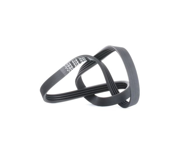 DAYCO 4PK812: V formos rumbuoti diržai 812,0mm, briaunų skaičius: 4