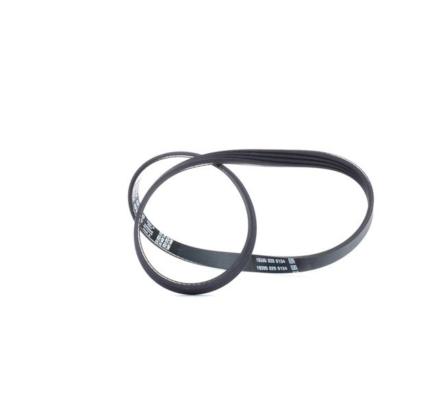 DAYCO 4PK830: V formos rumbuoti diržai 830,0mm, briaunų skaičius: 4