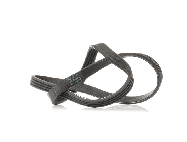 DAYCO 4PK841: V formos rumbuoti diržai 841,0mm, briaunų skaičius: 4