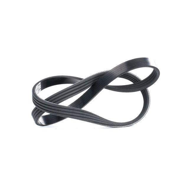 DAYCO 4PK845: Ķīļrievu siksna 845,0mm, Rievu skaits: 4