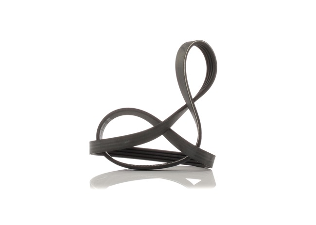 DAYCO 4PK905: Courroie Poly-V 905,0mm, Nombre de gorges: 4