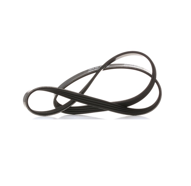 DAYCO 4PK954: Courroie Poly-V 954,0mm, Nombre de gorges: 4