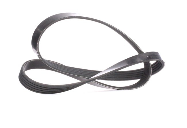DAYCO 5PK1025: Courroie Poly-V 1025,0mm, Nombre de gorges: 5