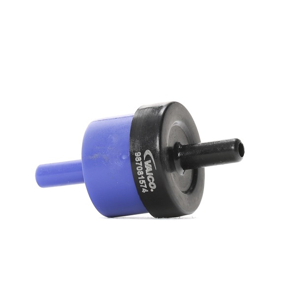 VAICO V10-9731 Βαλβίδα, αντλία υποπίεσης SEAT TOLEDO 1 (1L) 133 PS Βενζίνη κόστος
