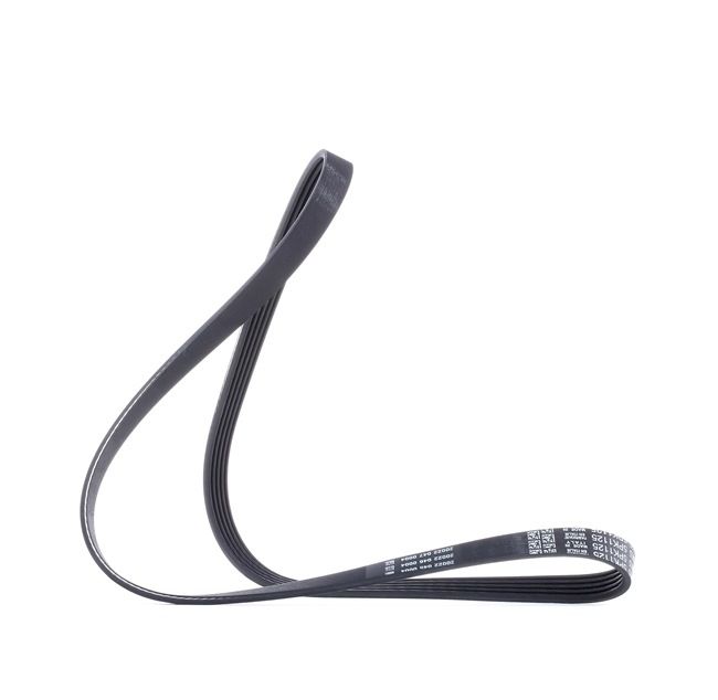 DAYCO 5PK1125: Courroie Poly-V 1125,0mm, Nombre de gorges: 5