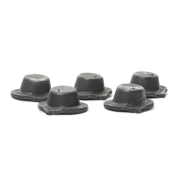 VAICO V30-0861: Saiba arc puntea spate, Q+, original equipment manufacturer quality MADE IN GERMANY
