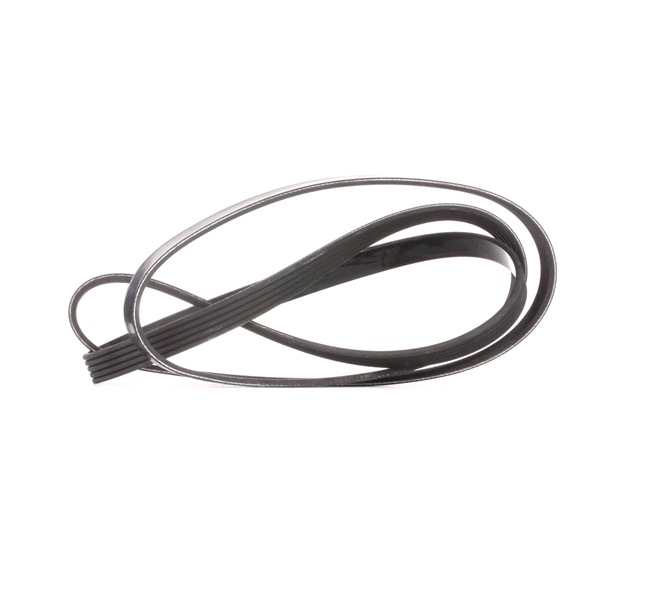 DAYCO 5PK1800: Courroie Poly-V 1800,0mm, Nombre de gorges: 5
