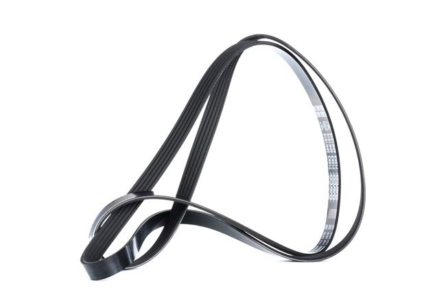DAYCO 5PK1815: Correia trapezoidal estriada 1815,0mm, Número de nervuras: 5