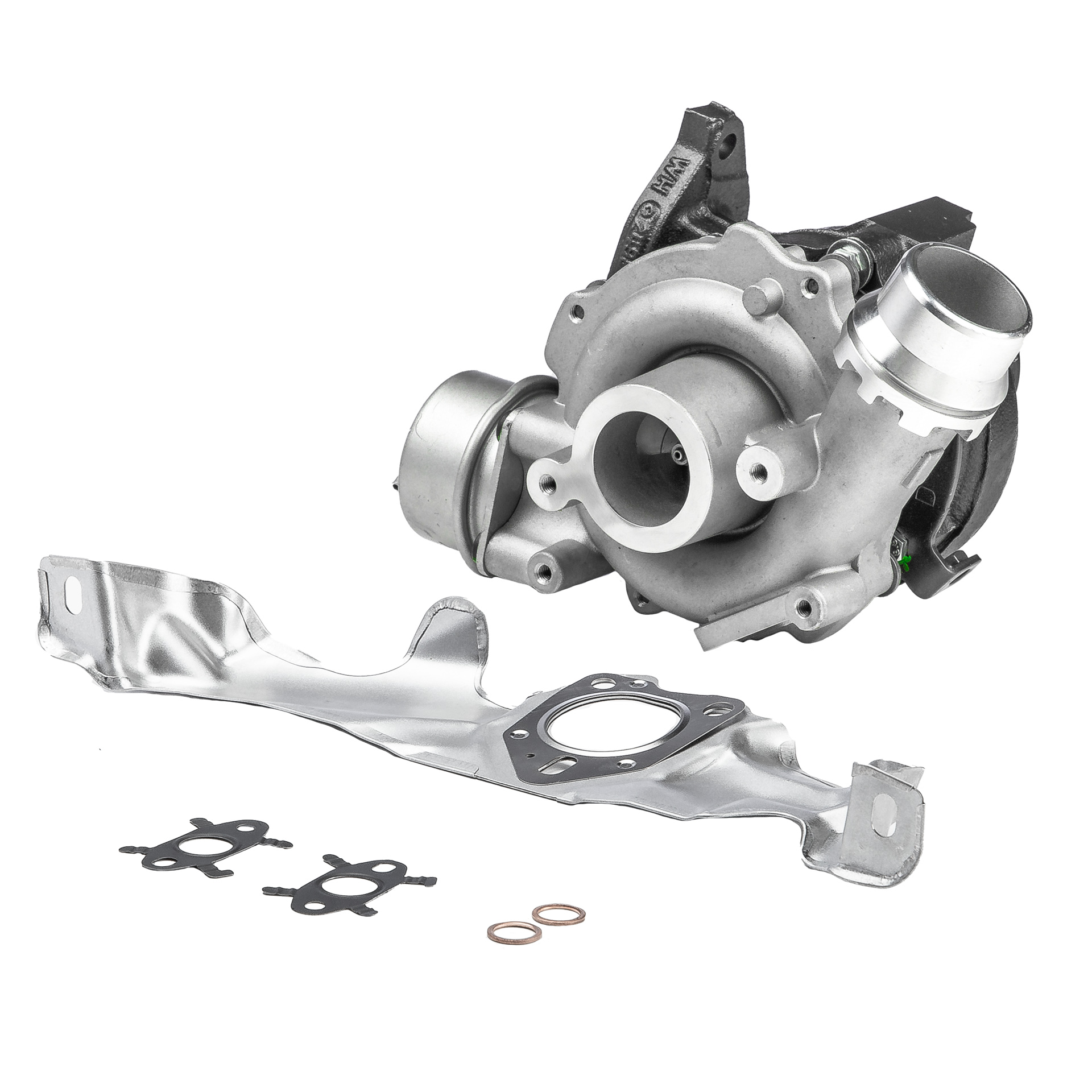 BR Turbo 54389880006RSG Turbocharger RENAULT SCENIC 3 (JZ0/1) 95 Pk Diesel kosten