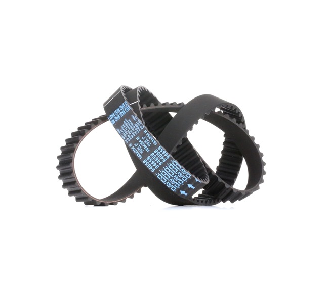 DAYCO 94658: Kamrem Kuggar: 163