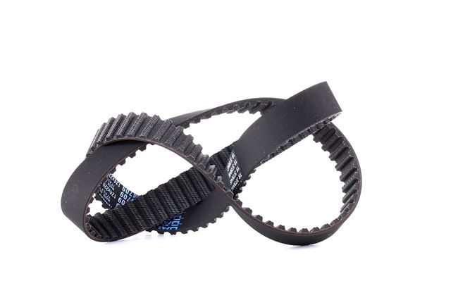 DAYCO 94709: Paskirstymo diržas krumplių skaičius: 124