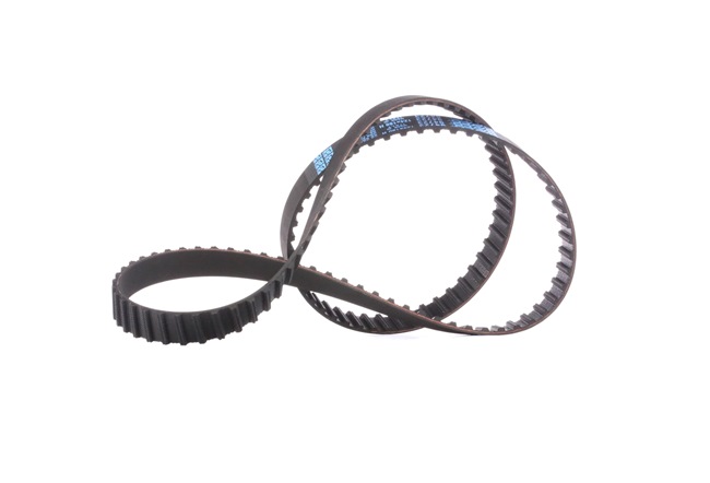 DAYCO 94723: Courroie de distribution Nbr. dents: 124