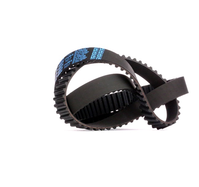 DAYCO 94824: Zobsiksna Zobu skaits: 171