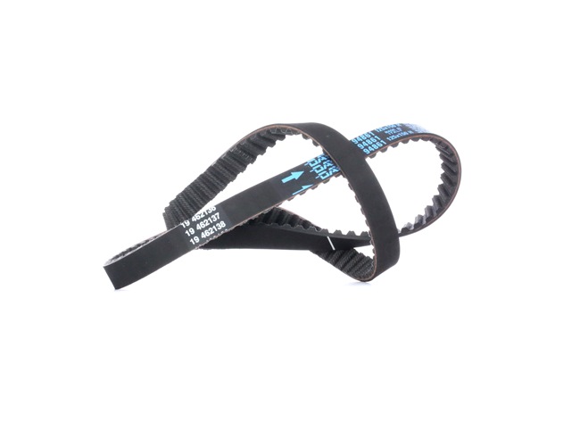 DAYCO 94861: Cinghia dentata N° denti: 125