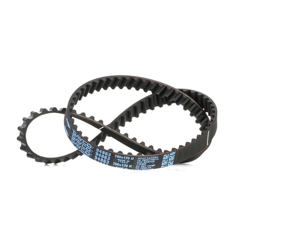 DAYCO 94863: Distributieriem Aantal tanden: 100