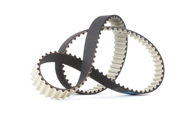 DAYCO 94885: Cinghia dentata N° denti: 120