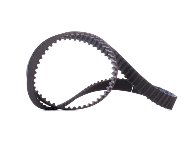DAYCO 94982: Zobsiksna Zobu skaits: 133
