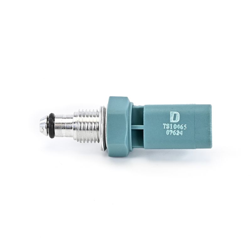 DELPHI TS10465: Temperatuursensor M12*1.25