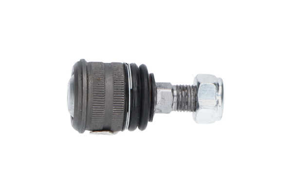 KAVO PARTS SBJ-10062 Podpora- / Kloub MERCEDES-BENZ Třída E T-modell (S211) 177 HP Diesel cena