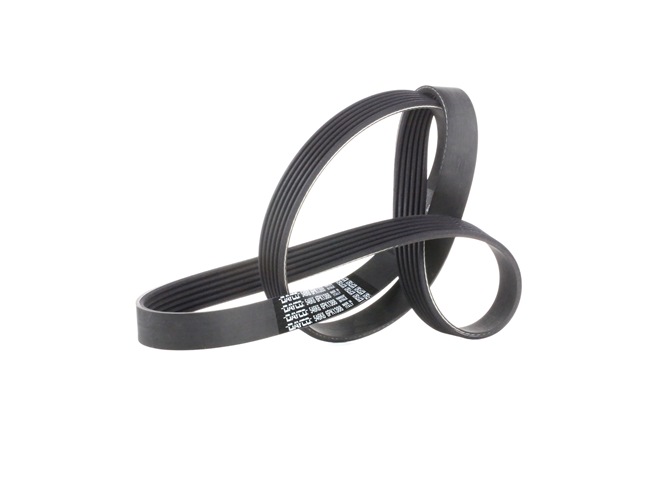 DAYCO 6PK1388: V formos rumbuoti diržai 1388,0mm, briaunų skaičius: 6