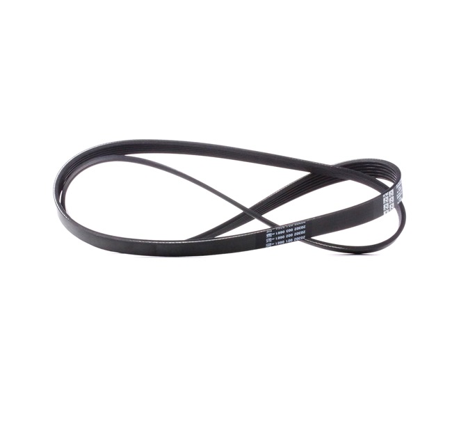 DAYCO 6PK1437: Multireim 1437,0mm, Ribbeantall: 6