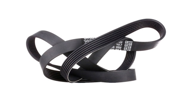 DAYCO 6PK1538: V formos rumbuoti diržai 1538,0mm, briaunų skaičius: 6