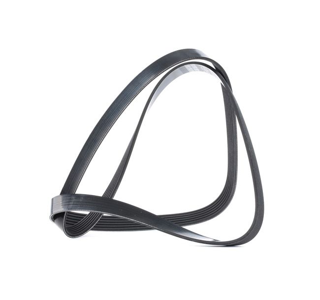 DAYCO 6PK1545: V formos rumbuoti diržai 1545,0mm, briaunų skaičius: 6