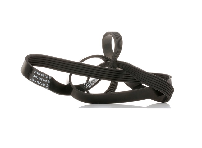 DAYCO 6PK1575: Multiriem 1575,0mm, Ribbenaantal: 6