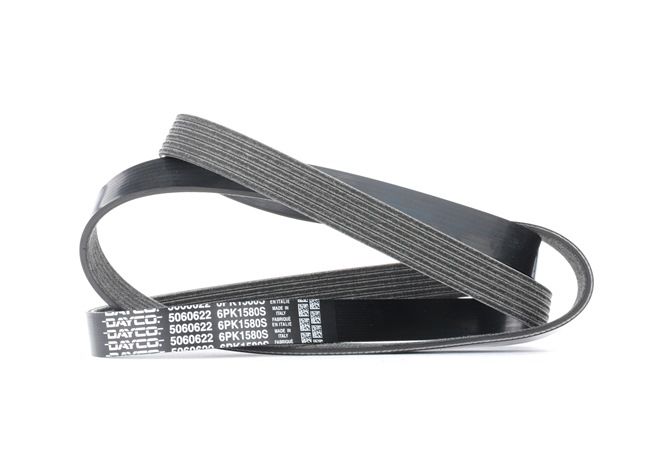 DAYCO 6PK1580S: Courroie Poly-V 1580,0mm, Nombre de gorges: 6